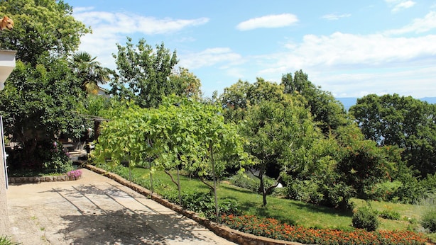 Un sendero pavimentado con borde de piedra, rodeado de abundante follaje y plantas con flores.