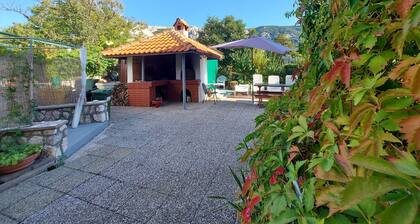 Apartments Fam Tomasic