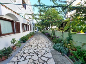 Avlu