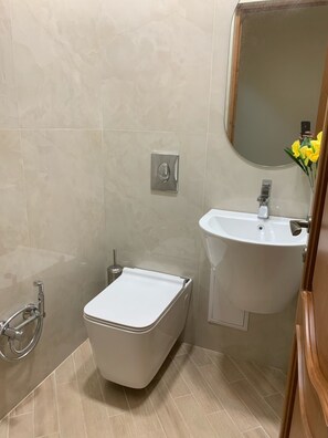 Combined shower/tub, hair dryer, towels, soap