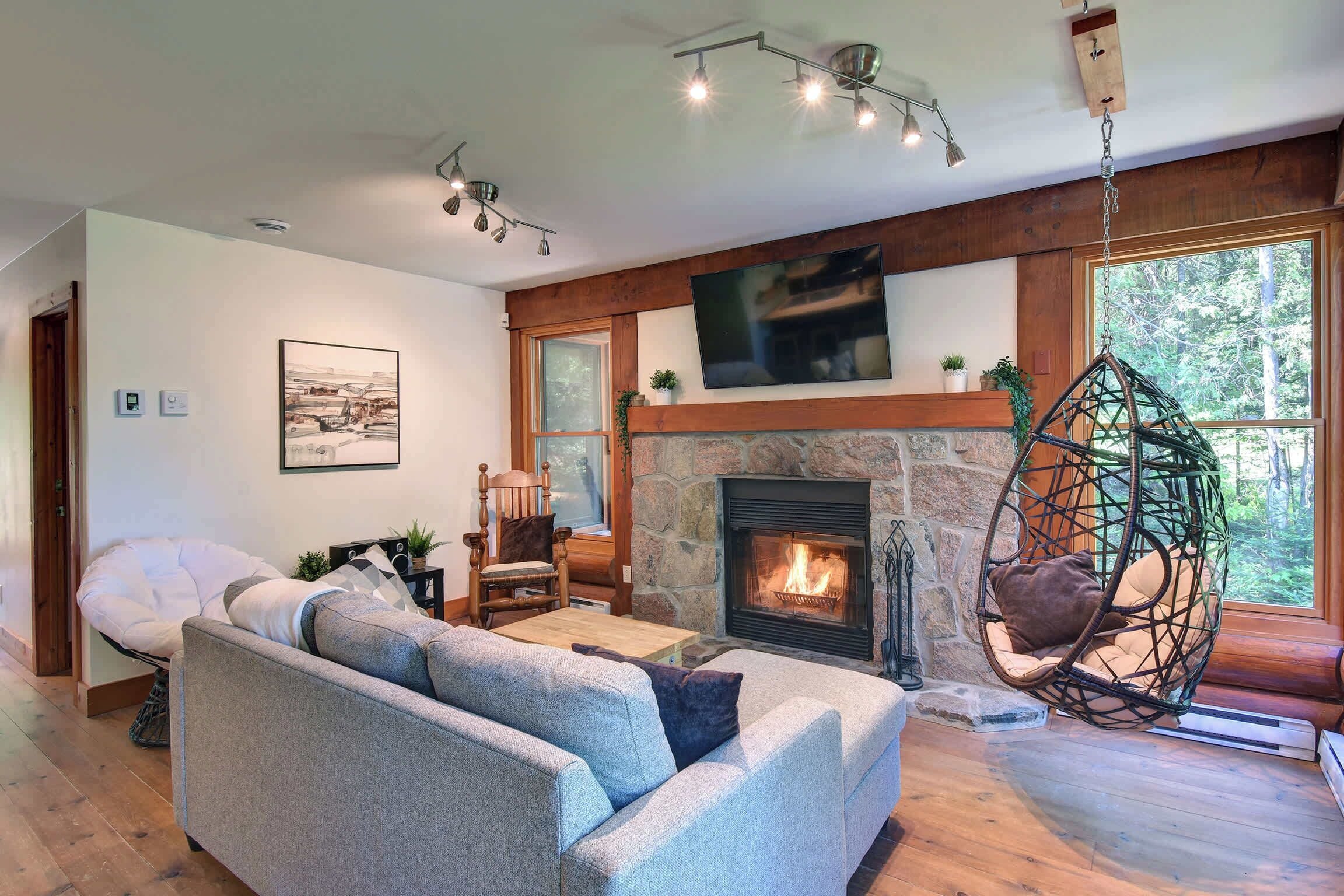 Télévision, cheminée, jeux vidéo, lecteur de DVD