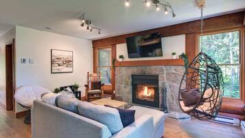 Télévision, cheminée, jeux vidéo, lecteur de DVD