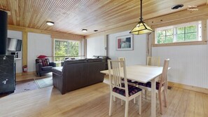 TV connectée, cheminée, jeux vidéo, lecteur de DVD