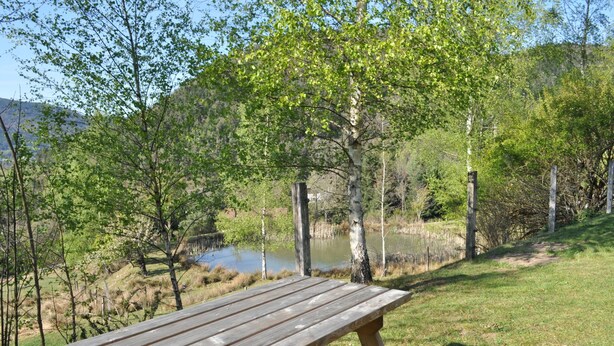 Outdoor dining - Gîte Mélina with Spa Jacuzzi Sauna Fishing pond (Dommartin-lès-Remiremont)