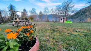 Un paisaje rural con una estructura de madera, un cobertizo verde y un campo lleno de flores anaranjadas.