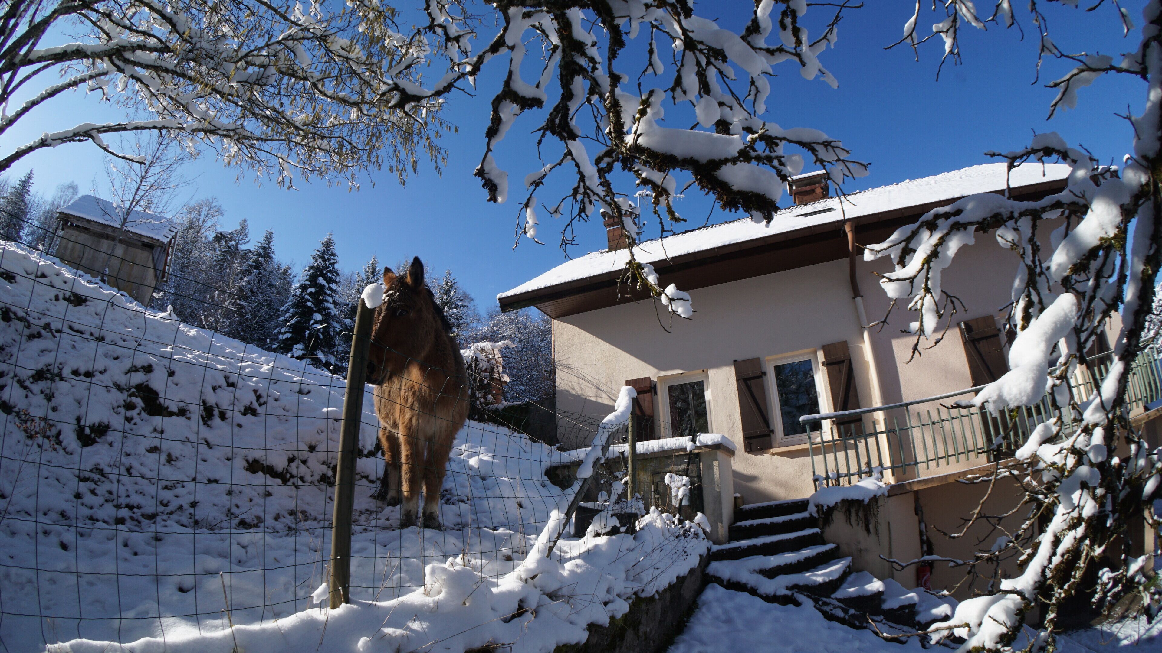 Enceinte de l’hébergement