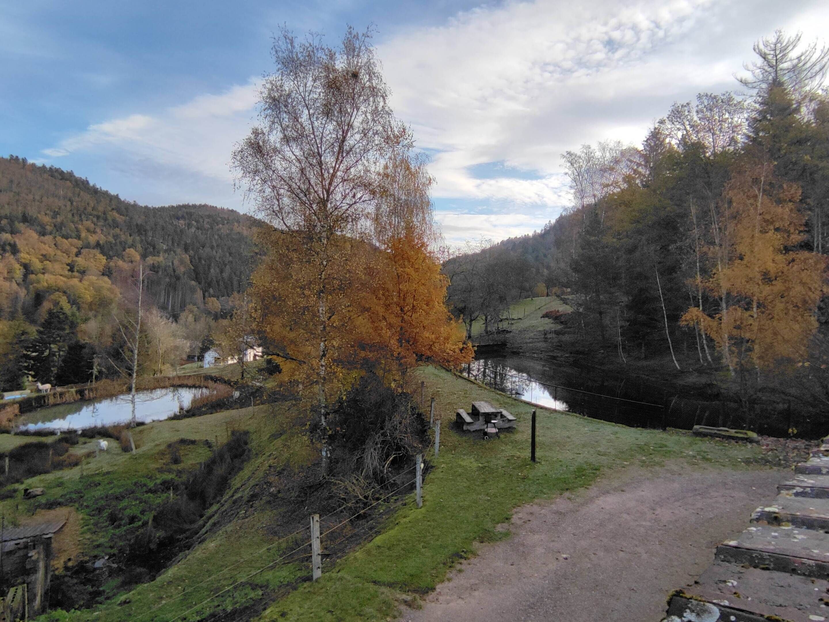 A rural landscape with a river, a wooden structure, and a path leading to a picnic area.