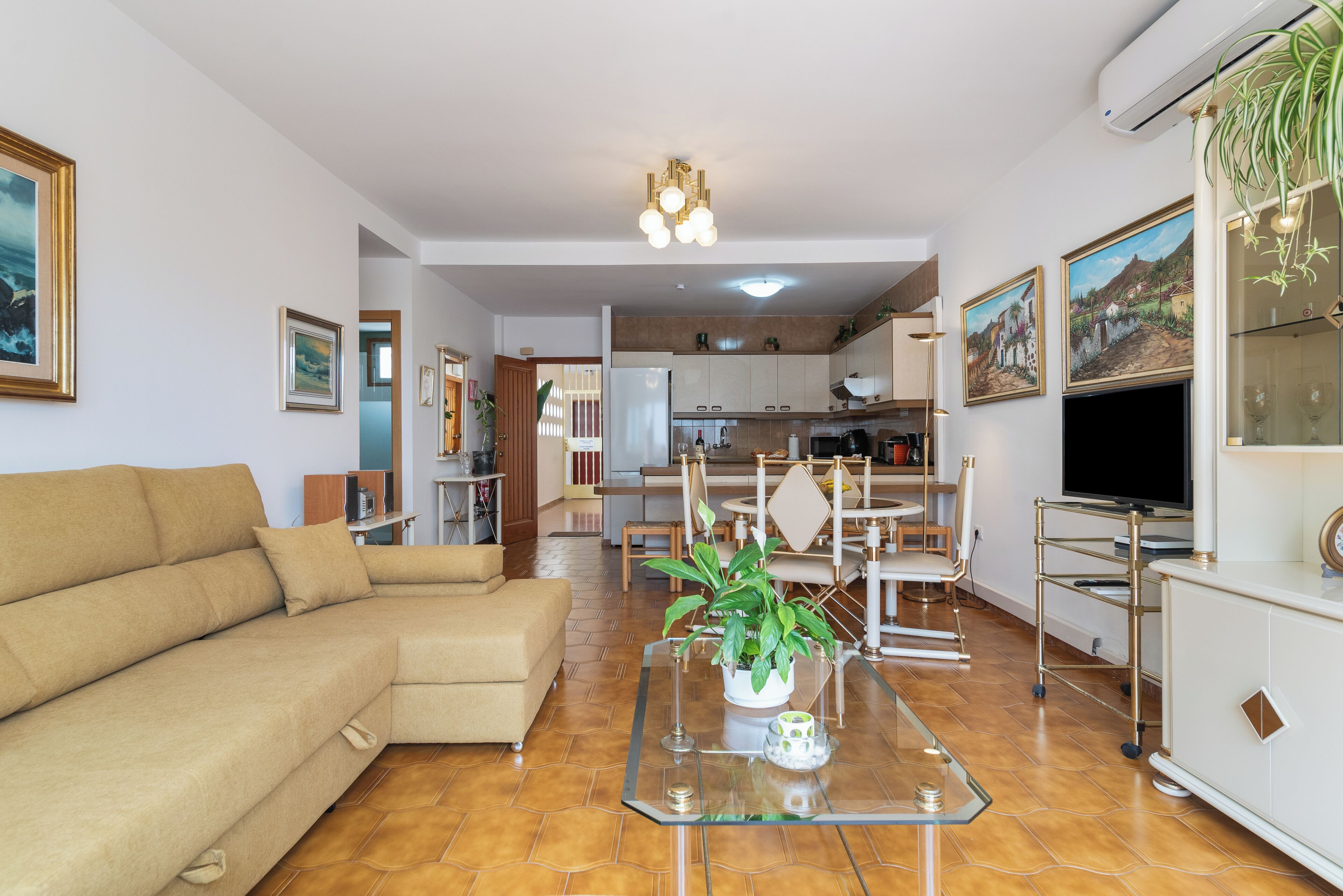 A living room with a sofa, a glass coffee table with a plant, a kitchen in the background, and a TV on a stand.