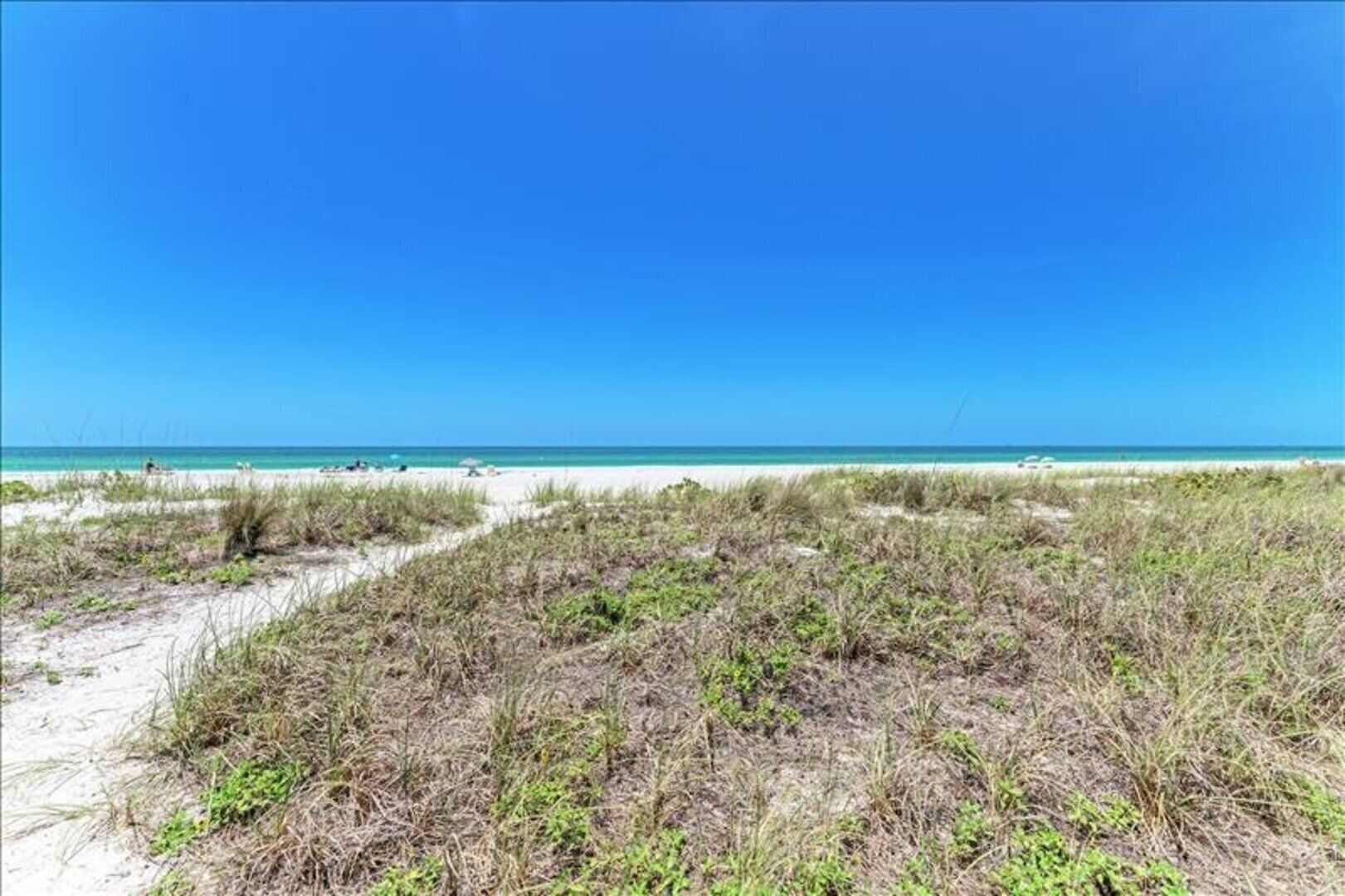A beach with a clear sky, sandy dunes, and sparse vegetation.