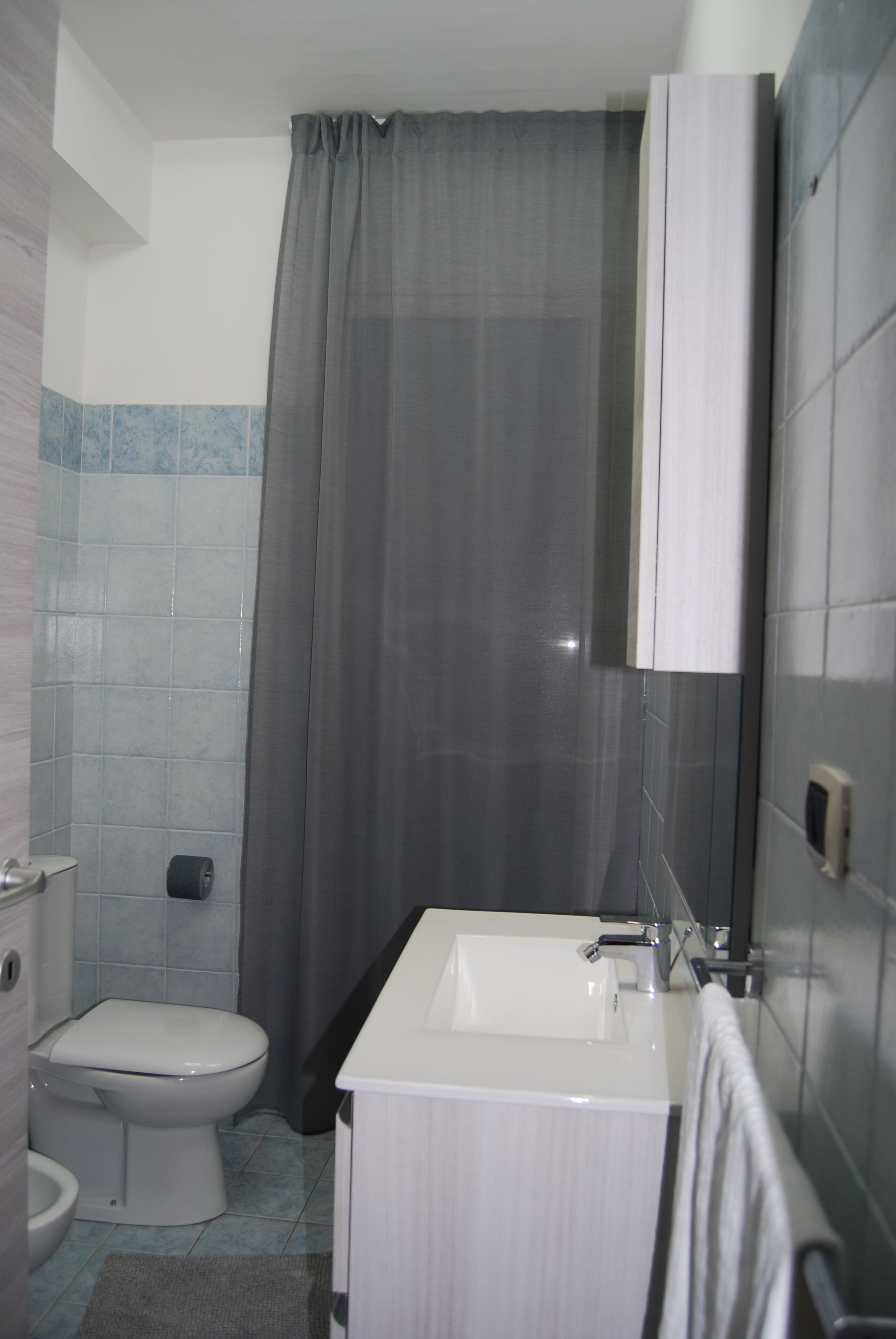 Une salle de bain équipée de toilettes, d’un lavabo et d’un rideau de douche.