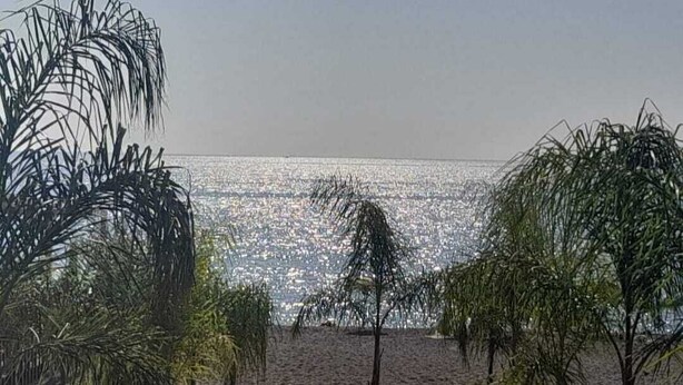 A beach with palm trees and a wooden walkway leading to the water. - Focu e Mari (Mascali)