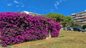 Property grounds - Casalionelantibes : beautiful 70m², with gardens and parking space (Antibes)