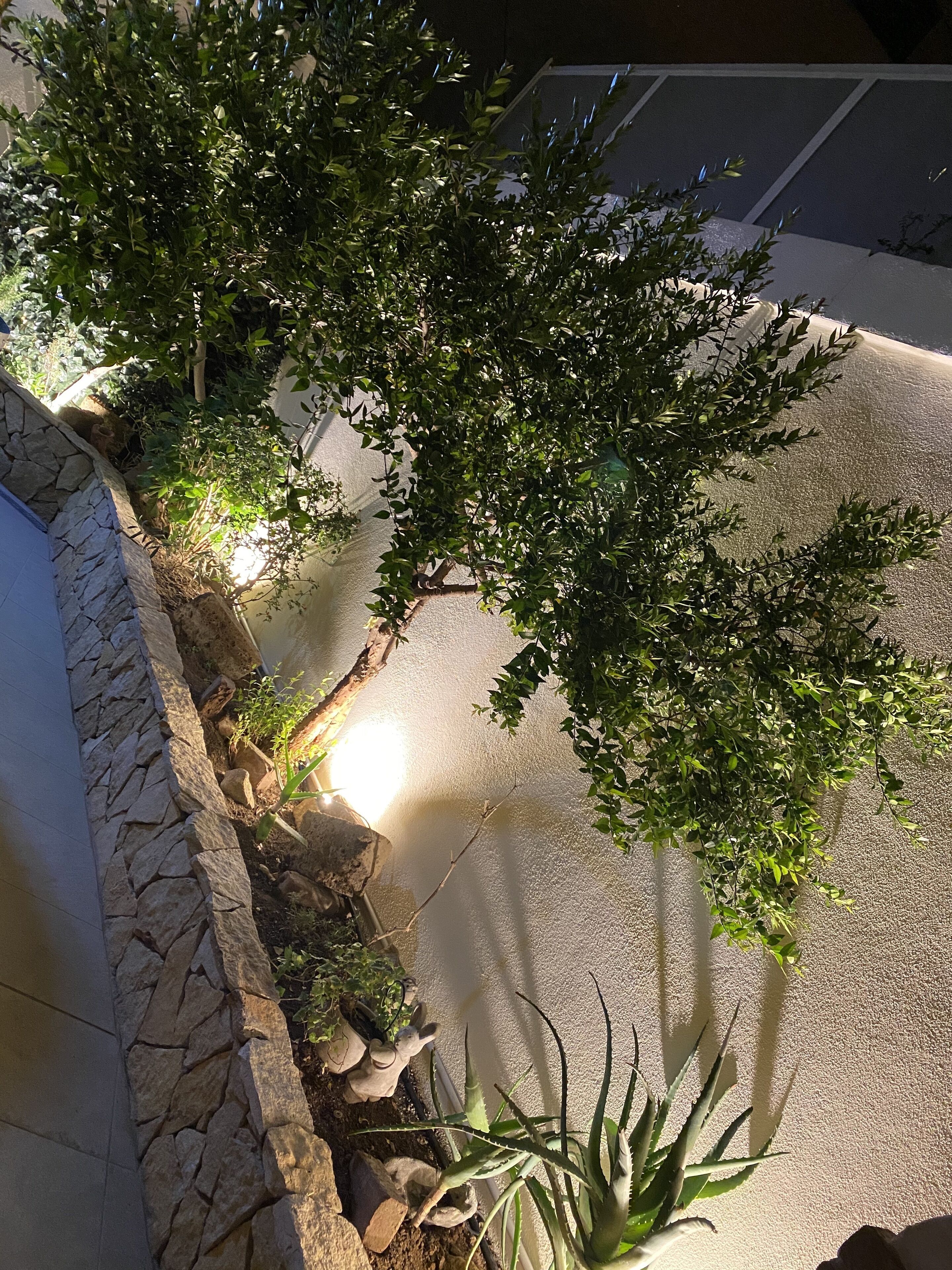 Jardines del alojamiento