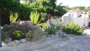 A garden with various plants and a stone pathway leading to a white building. - -Bright villa, pool, air conditioning, near St-Florent- sleeps 6 (Oletta)