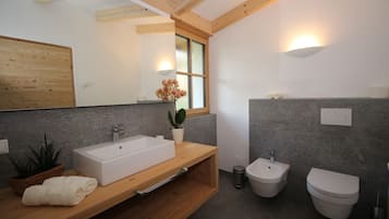 Shower, hair dryer, bidet, towels