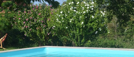 室外游泳池