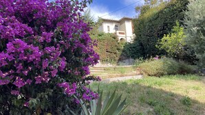 Ein Haus mit Garten, mit purpurroter Bougainvillea und einer großen Agavepflanze.