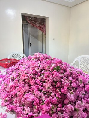 Una habitació amb un munt de flors roses al terra, una porta blanca i dues cadires blanques.