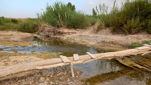 Een natuurlijk landschap met een ondiepe beek, een houten brug en omliggende begroeiing.