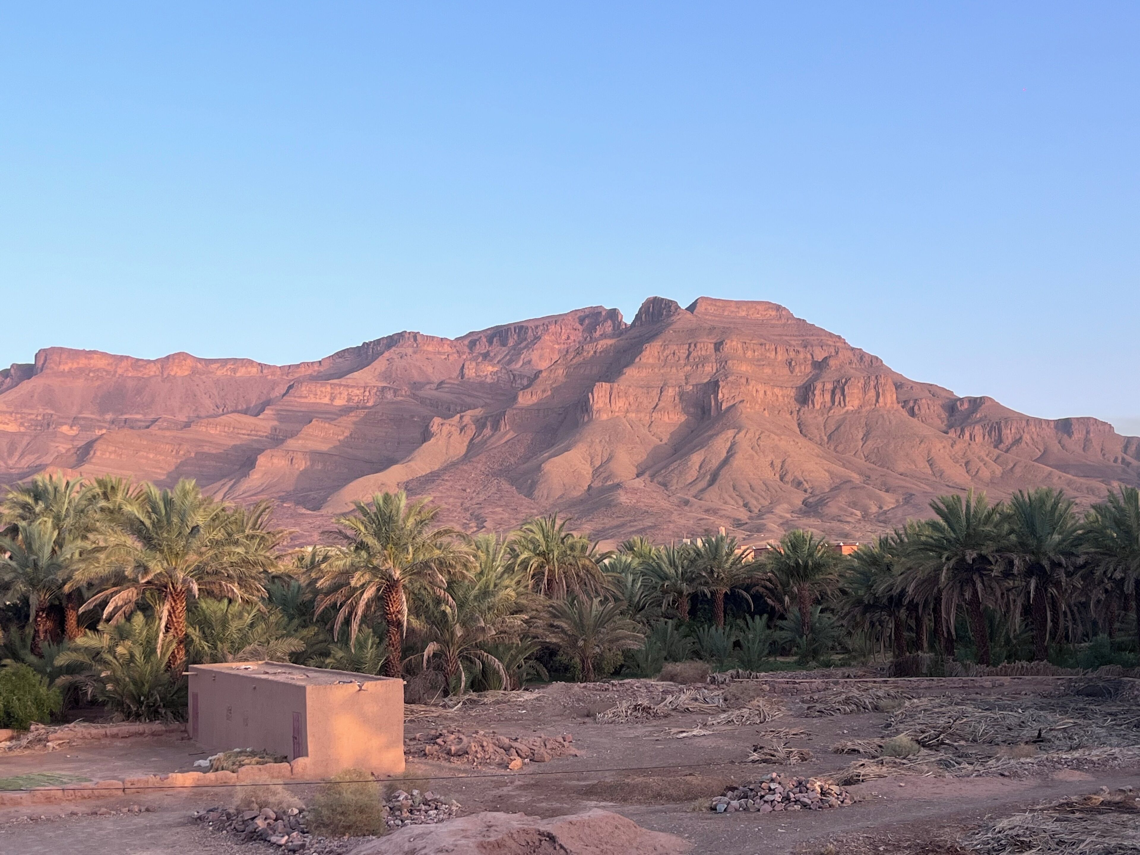 A desert landscape with palm trees and a rocky terrain in the foreground, and a mountain range in the background.