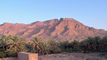 A desert landscape with palm trees and a rocky terrain in the foreground, and a mountain range in the background.