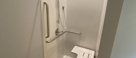 Baño con puerta blanca, zona de ducha y barra de apoyo.