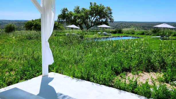 A covered outdoor area with a view of a swimming pool and lush greenery. - MONTE DA FIFAS Countryside house with a pool and a magnificent view over the dam (Montargil)