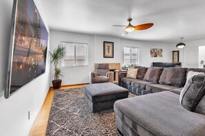 TV, fireplace, books