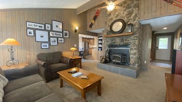 TV connectée, cheminée, lecteur de DVD, livres