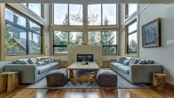 Smart TV, fireplace, stereo