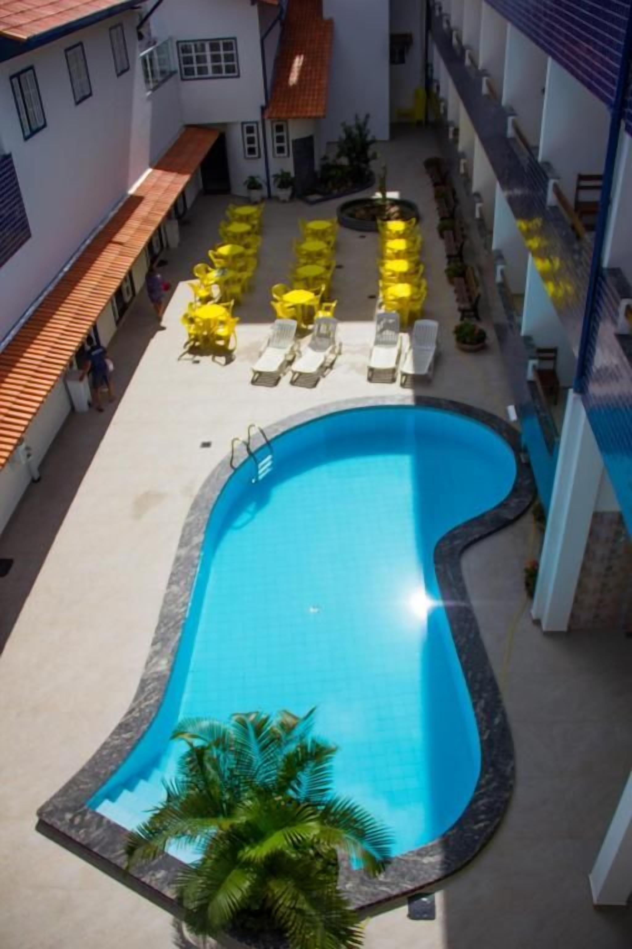Ein Swimmingpool mit Liegestühlen und einer Palme.