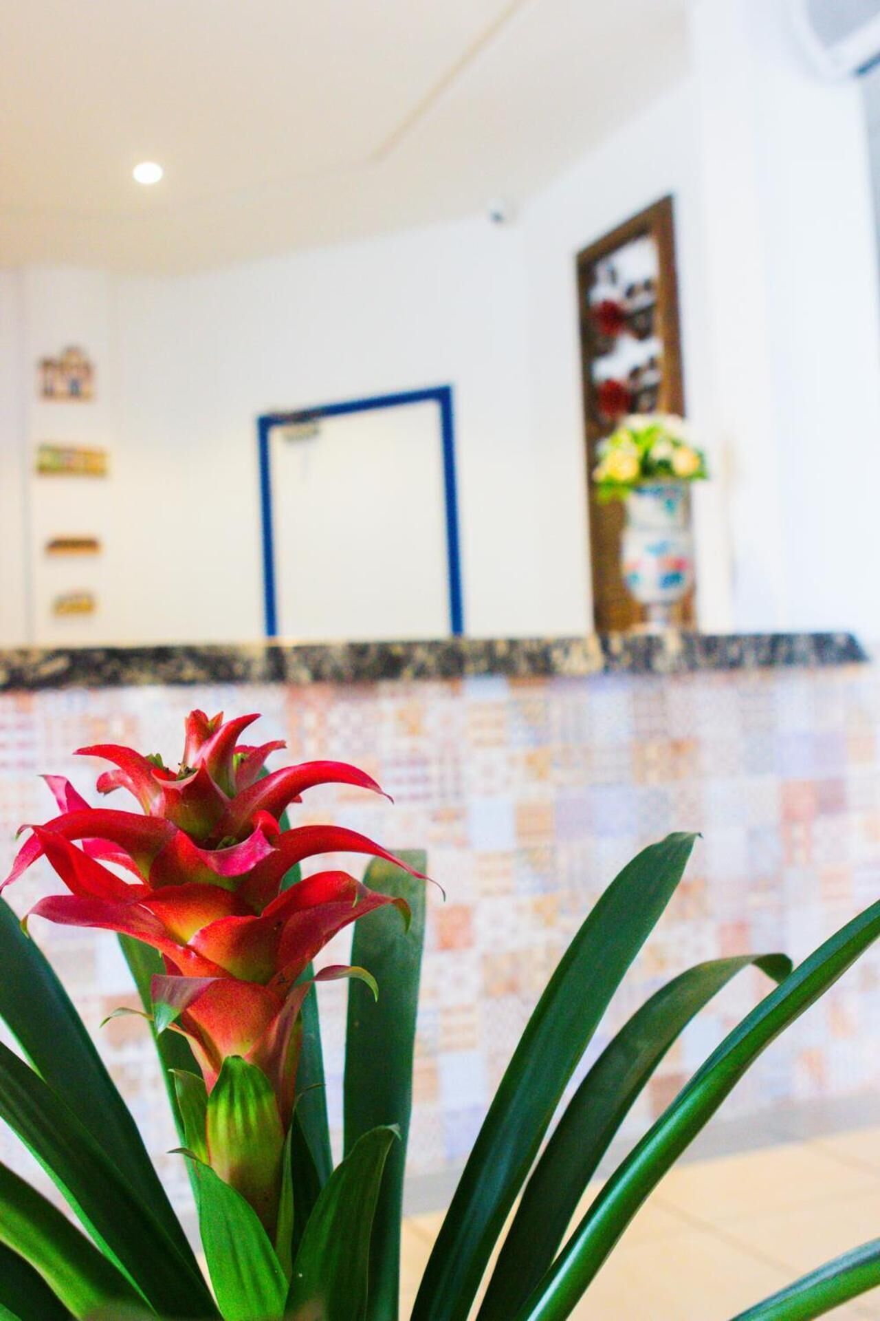 A reception area with a tiled wall, a blue door, and a potted plant with red flowers.