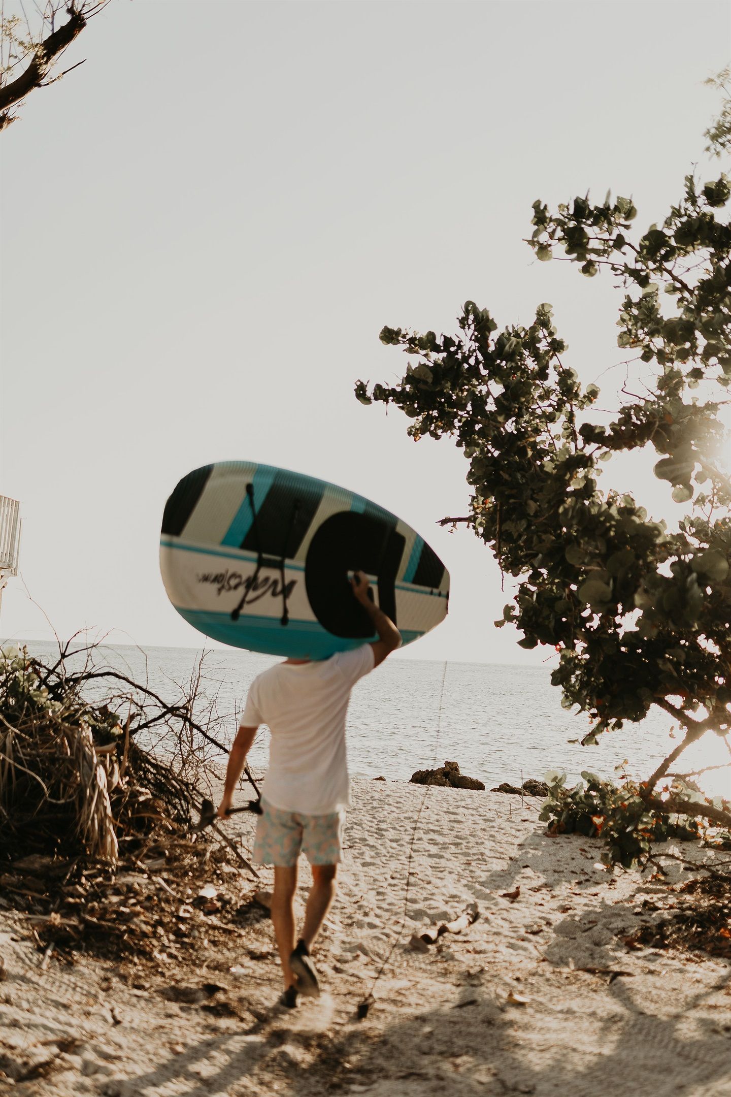 Una persona lleva una tabla de surf en una playa arenosa con un árbol y el océano al fondo.
