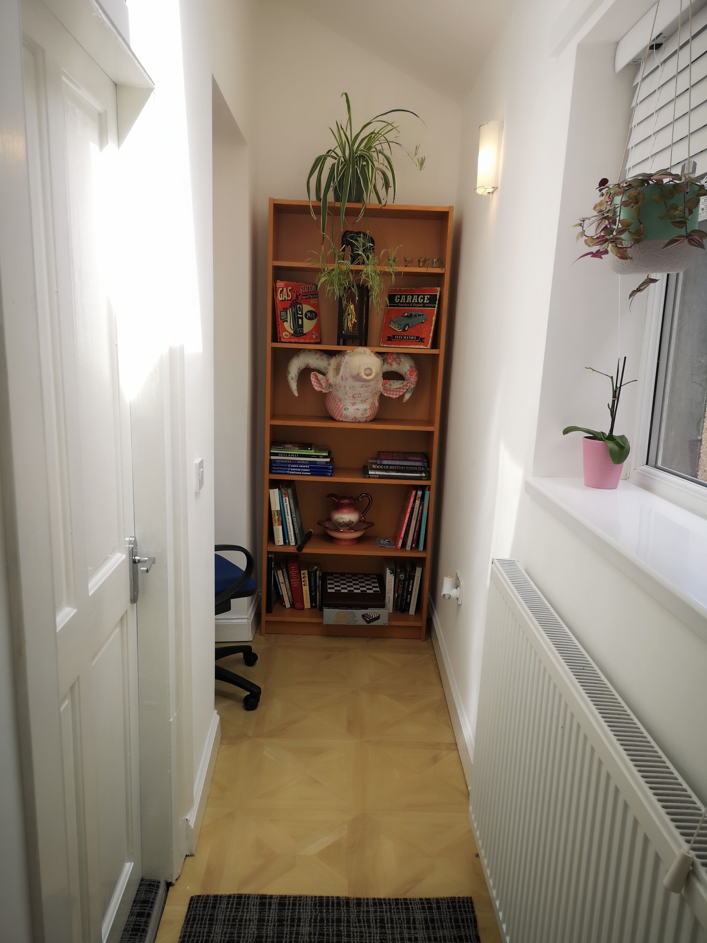 A narrow hallway with a wooden bookshelf containing books, a decorative ceramic pot, and a potted plant.
