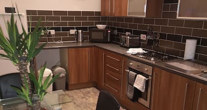 Beautiful Large 1 kingsized bed fully furnished apartment.