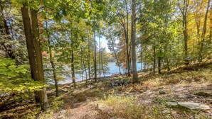 Un área boscosa con un lago, una mesa de picnic y un sendero pedregoso.