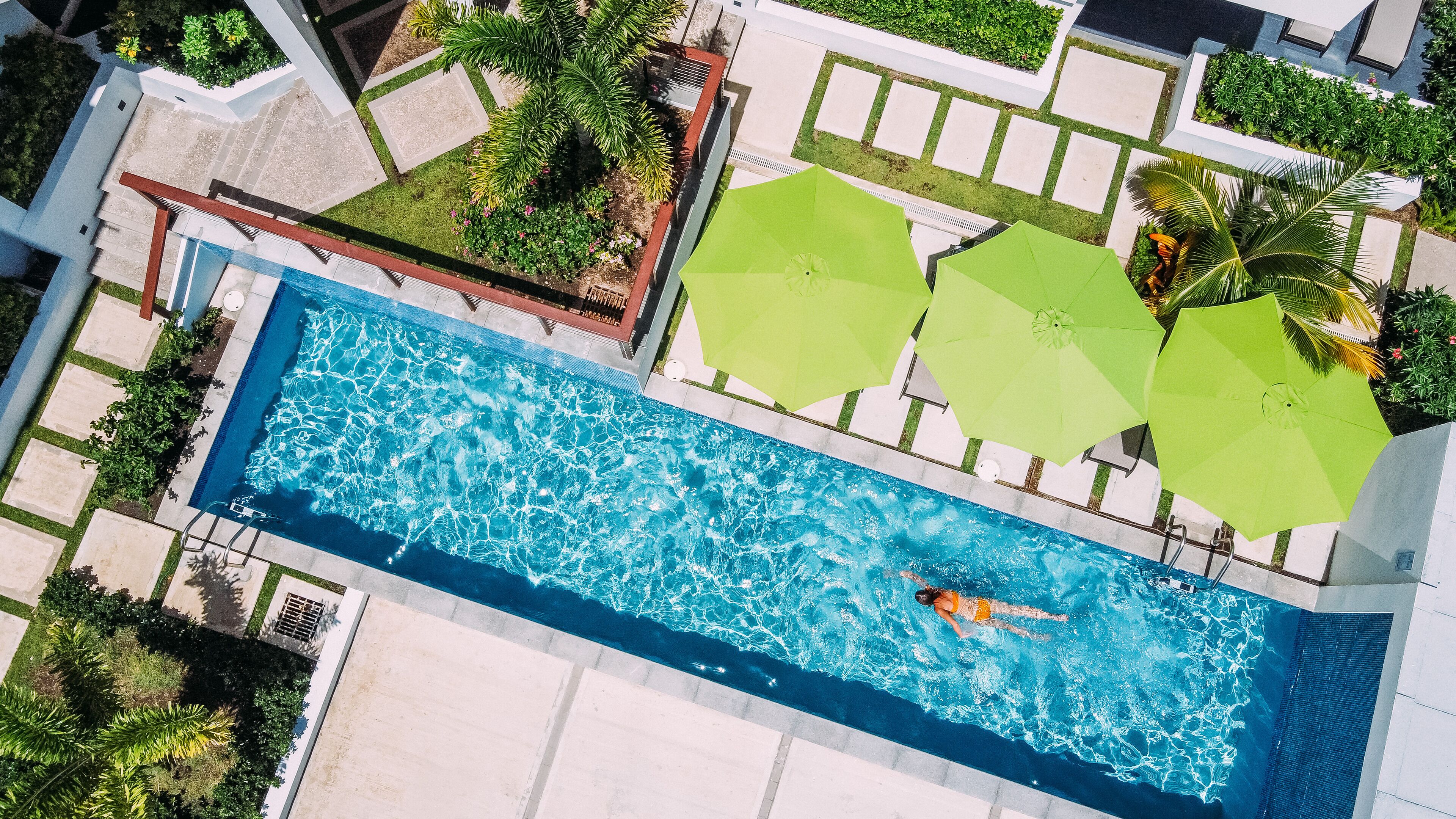 An aerial view of a rectangular swimming pool with a person swimming, surrounded by greenery and umbrellas.