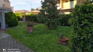 A courtyard with potted plants, a cactus, and a hedge. - Camera VENERE (Pisa)