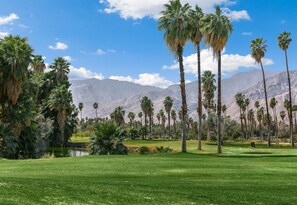 Talo (Farrell E33) | Ulkoalueet