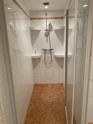 Douche, sèche-cheveux, serviettes fournies, savon