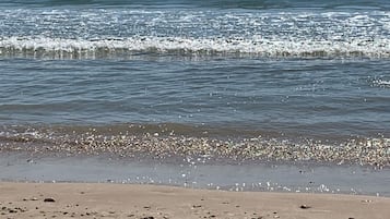Sun-loungers, beach towels