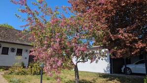 Ein Haus mit Garten, ein weißes Auto auf der Auffahrt und ein Baum mit rosa Blüten.