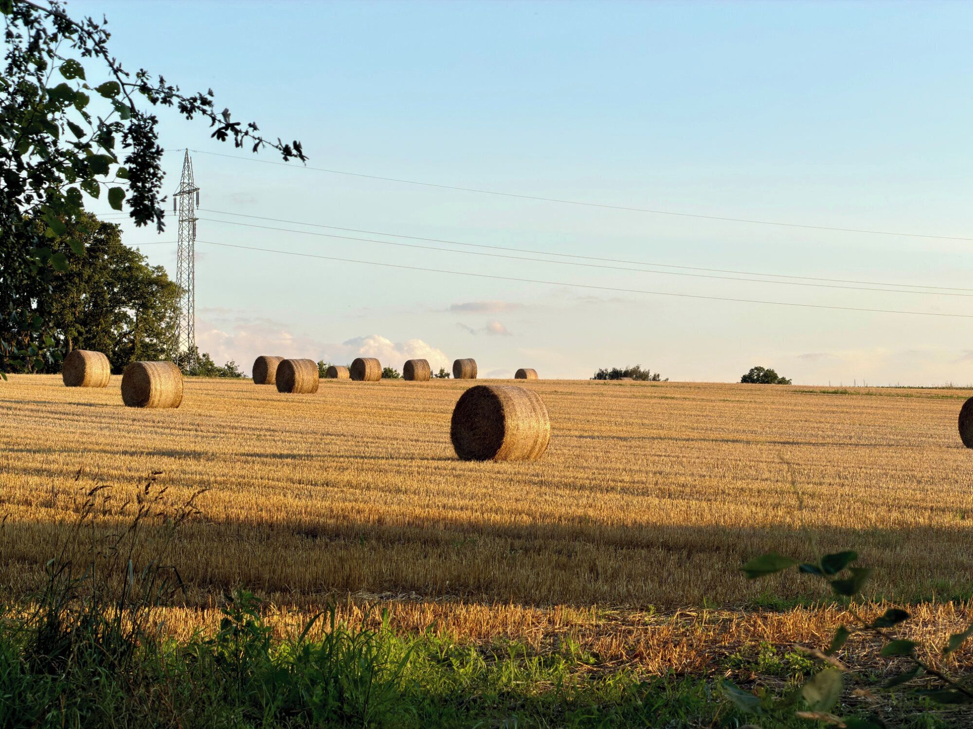 A field with hay bales and a power line tower in the background.