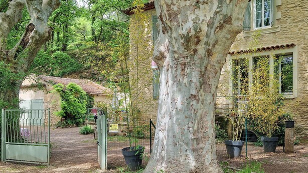 Ein rustikales Steinhaus mit Garten, einem Metallzaun und einem großen Baum.