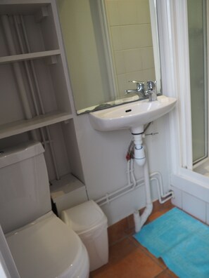 A bathroom with a white sink, a mirror, a toilet, and a blue bath mat. - Beau Studio Bien Équipé (Le Pré-Saint-Gervais)