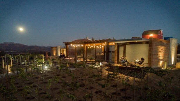 A vineyard with rows of grapevines and a building with a pergola and string lights. - Hotel Boutique Kpricho (SAN Antonio de las Minas)