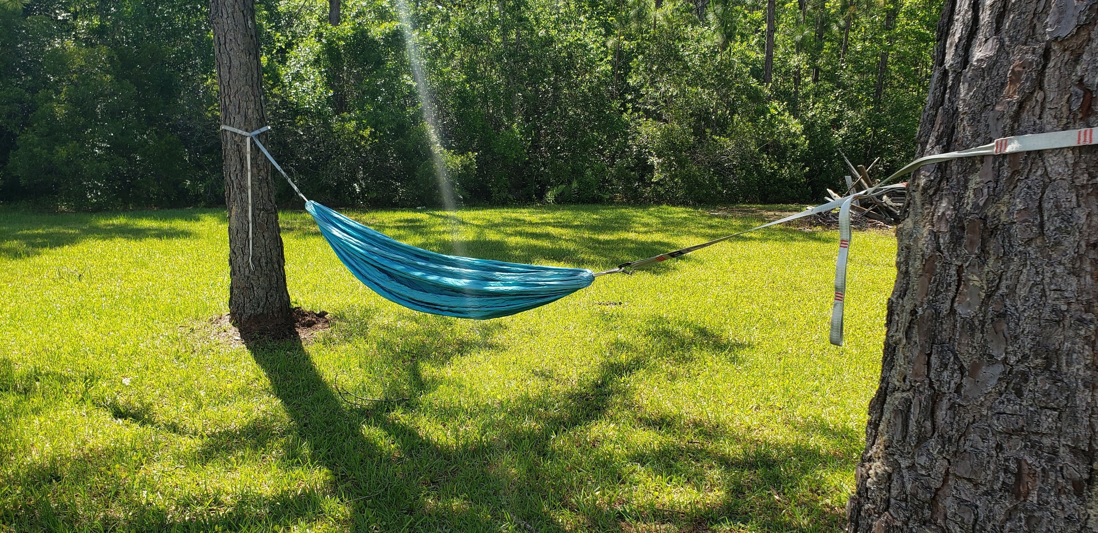 A hammock tied between two trees in a grassy area.