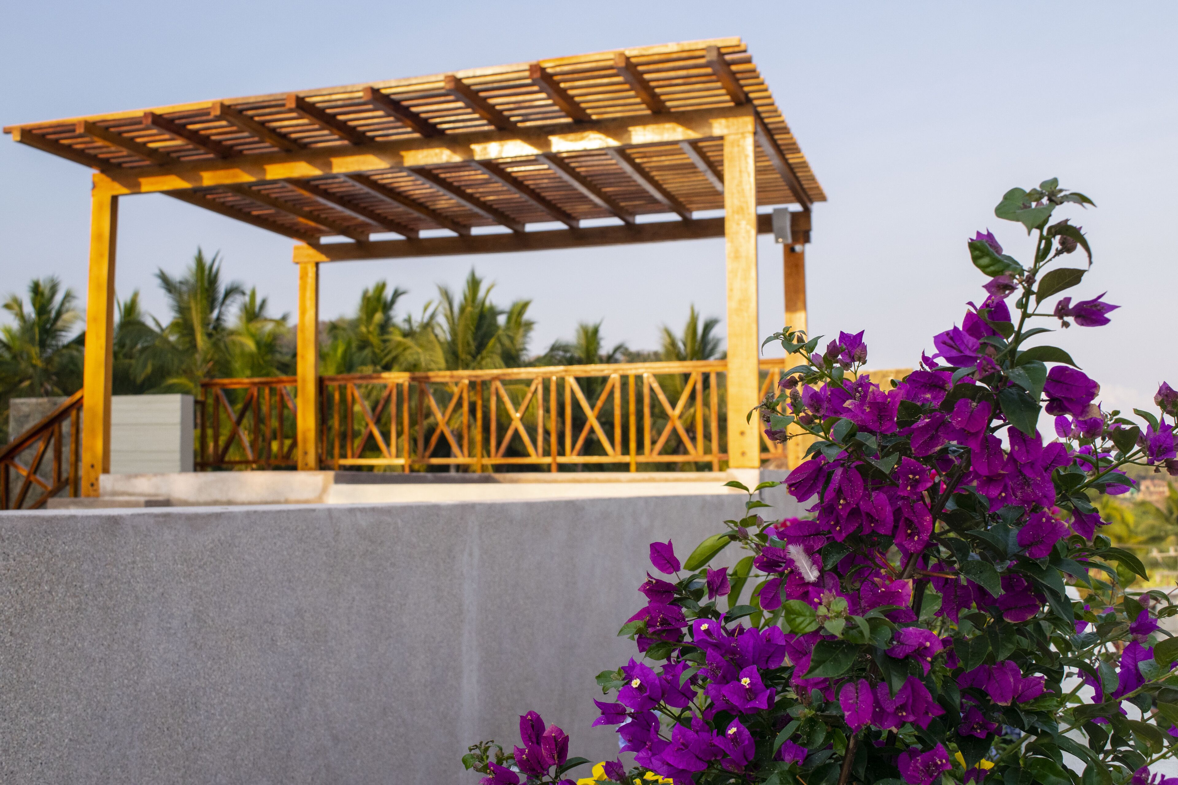 Una estructura de pergola de fusta amb vistes a palmeres i una plataforma de formigó.