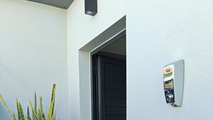 Une plante en pot, placée à côté d’une porte, avec une caméra de surveillance fixée au mur.