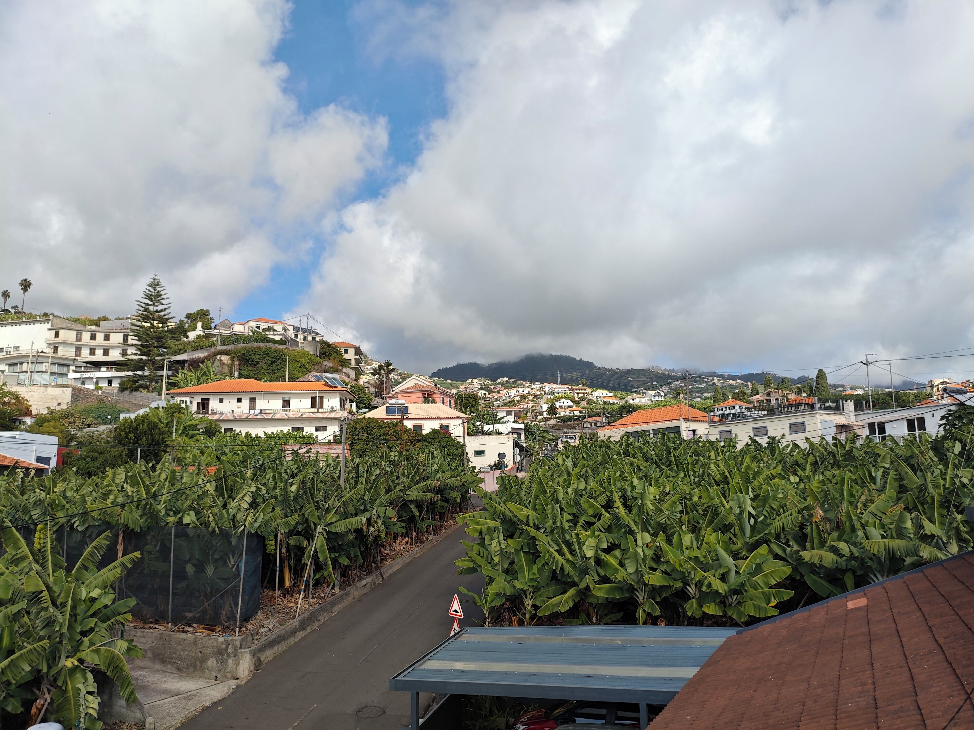 Área residencial com casas numa encosta, estrada bordeada por bananeiras e uma cordilheira distante sob um céu nublado.